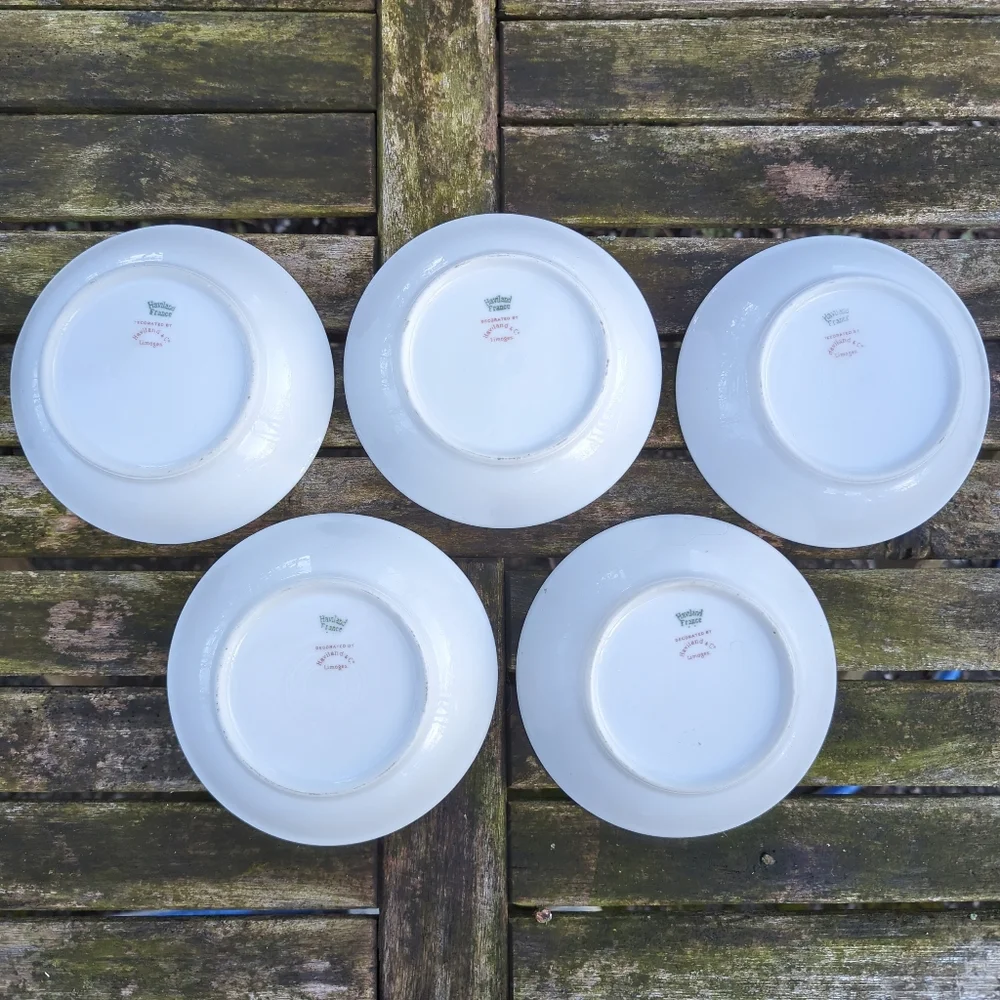 Rare! Set of 5 Haviland France Limoges Small Porcelain Finger Dishes